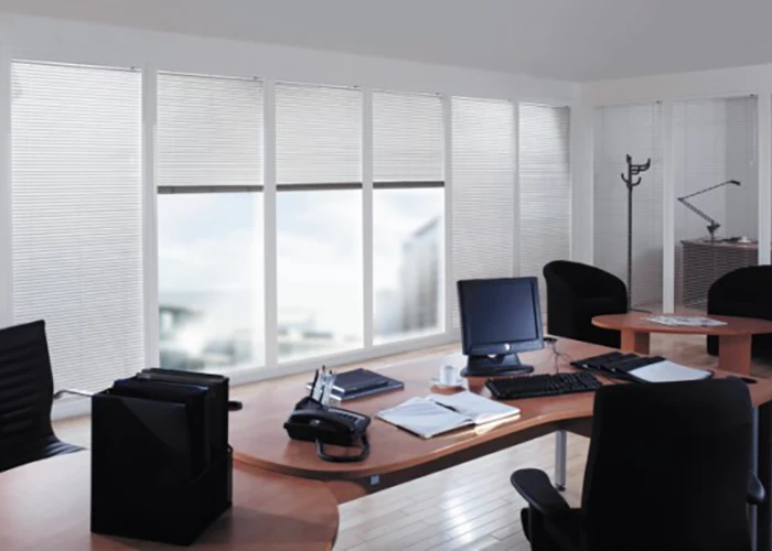 Internal Blinds 1 blinds