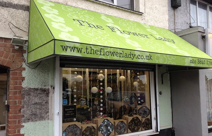 Home 10 canopy product