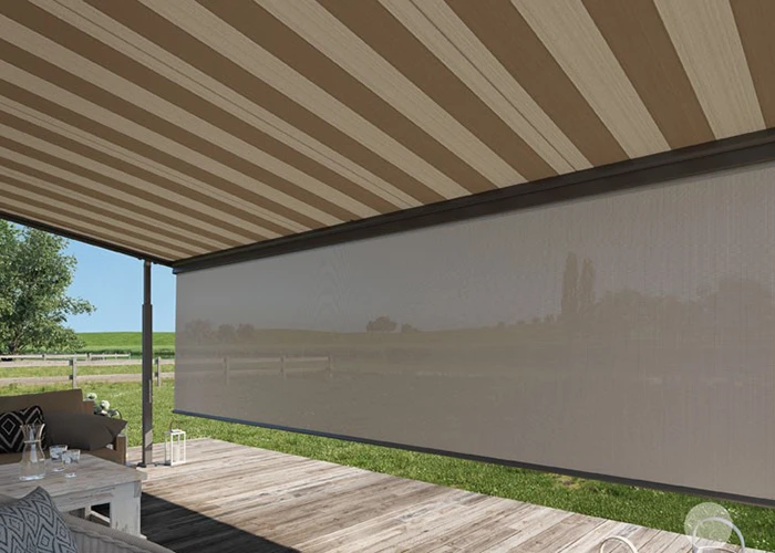 Plaza Viva 7 plaza viva 8